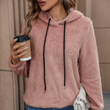 Velvet Hooded Pullover