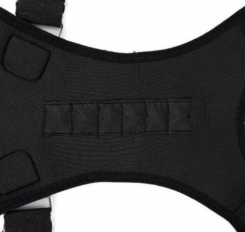 Posture Correction Belt